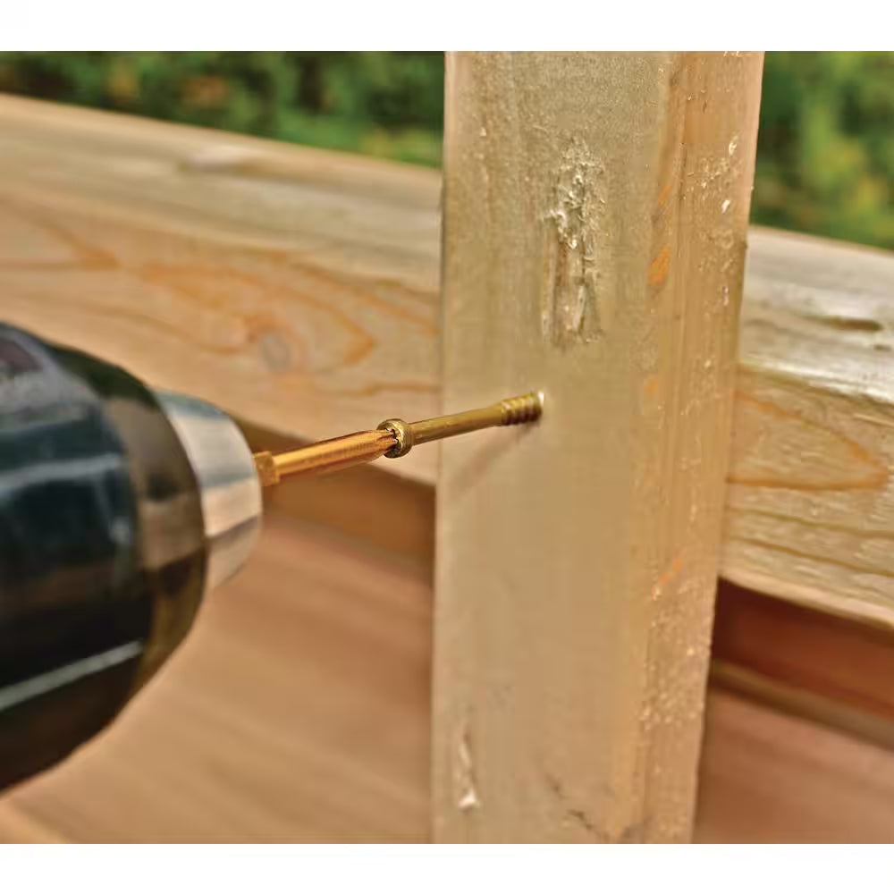 #8 X 3-1/8 In. Star Drive Trim Finishing Head Screw (100-Per Pack)