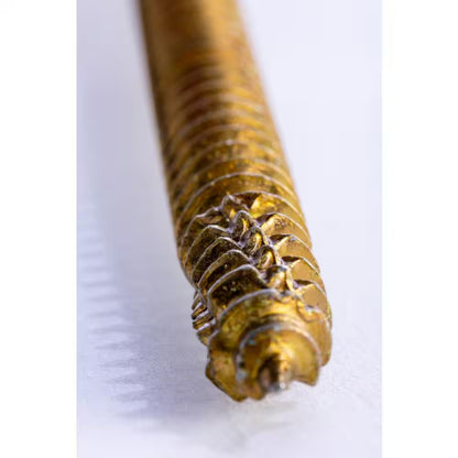 #8 X 3-1/8 In. Star Drive Trim Finishing Head Screw (100-Per Pack)